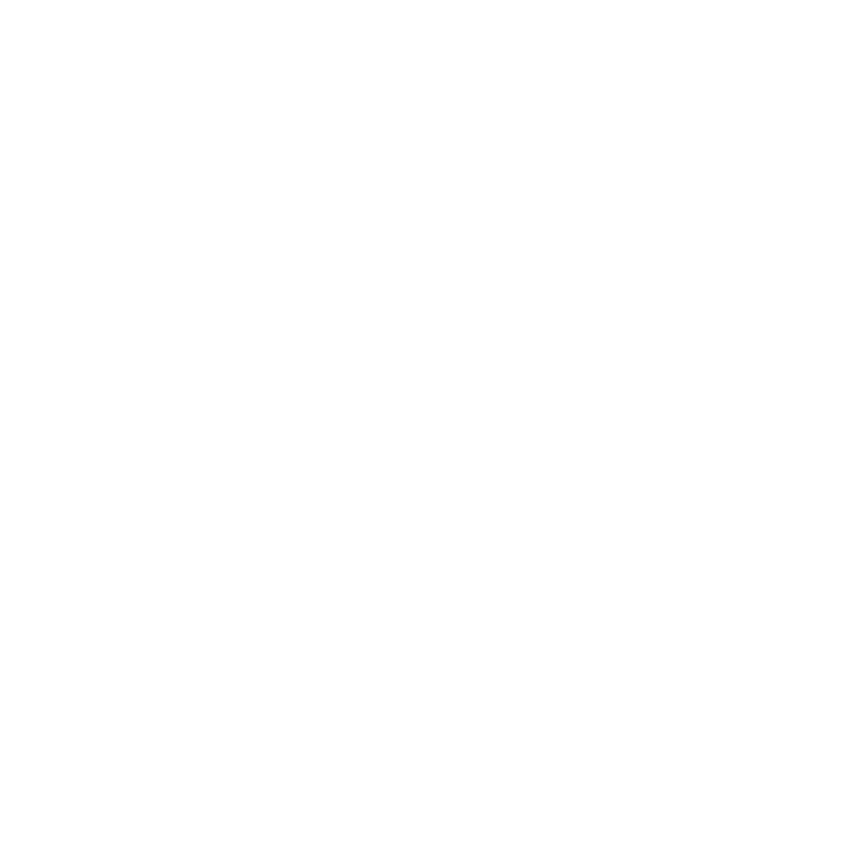 syler's logo